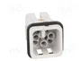 LAPP EPIC H-D Plantilla de Contacto Macho 8 PIN 10A