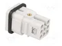 LAPP EPIC H-D Plantilla de Contacto Macho 8 PIN 10A