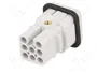 LAPP EPIC H-D Plantilla de Contacto Macho 8 PIN 10A