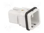 LAPP EPIC H-D Plantilla de Contacto Macho 8 PIN 10A