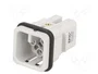 LAPP EPIC H-D Plantilla de Contacto Macho 8 PIN 10A