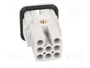 LAPP EPIC H-D Plantilla de Contacto Macho 8 PIN 10A