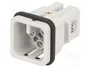 LAPP EPIC H-D Plantilla de Contacto Macho 8 PIN 10A