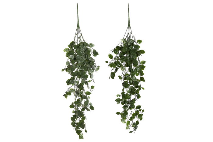 DKD Home Decor Ramas Colgantes de Poliéster y PE en Surtido de Verdes DKD Home Decor Ramas Colgantes de Poliéster y PE en Surtido de Verdes
