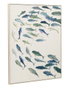 DKD Home Decor Cuadro Lienzo de Peces Surtido de 2 Piezas (82x102 cm)