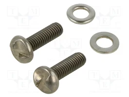 SCHMERSAL Tornillos de repuesto AZM 300 ACC-NRS-M6X20-FHS-2PCS