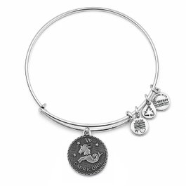 Alex And Ani Pulsera de Capricornio en Metal Gris