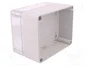 ELEKTRO-PLAST NASIELSK Carcasa Universal INDUSTRIAL Gris