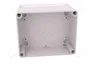 ELEKTRO-PLAST NASIELSK Carcasa Universal INDUSTRIAL Gris