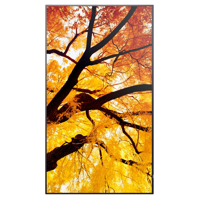 Sharp M502 Digital Signage Display Pantalla Profesional 125,7 cm 50"