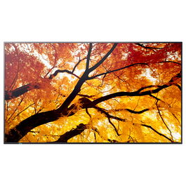 Sharp M502 Digital Signage Display Pantalla Profesional 125,7 cm 50"