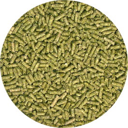 ZooMed Comida para Iguana Adulta Pellet Semi Húmedo 283g
