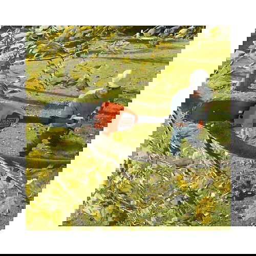 Black & Decker Hochentaster de batería GPC1820L20, 18 V, 2 Ah, Longitud de cadena 20 cm, Negro/Naranja