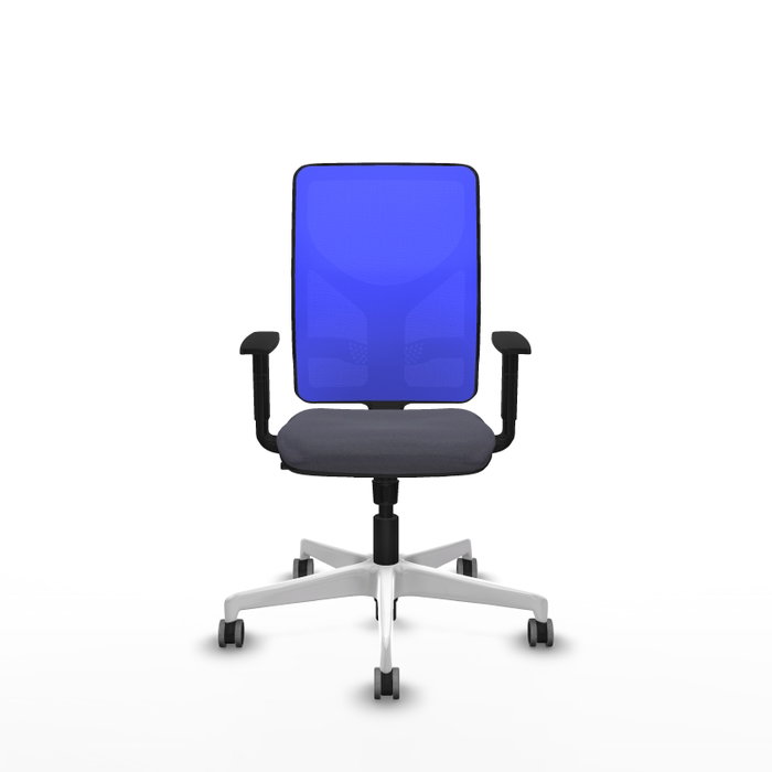 PIQUERAS Y CRESPO Silla de oficina Motilla con mecanismo Sincro, Gris oscuro y Azul PIQUERAS Y CRESPO Silla de oficina Motilla con mecanismo Sincro, Gris oscuro y Azul