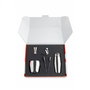 Alessi L 870/50 Coctelera Acero Inoxidable 18/10 Diseño Luigi Massoni y Carlo Mazzeri