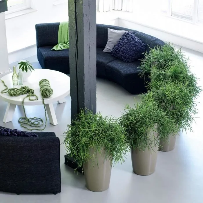 Maceta - LEC - Rondo Premium 40 - Negro brillante - Con reserva de agua - Diámetro 40 cm