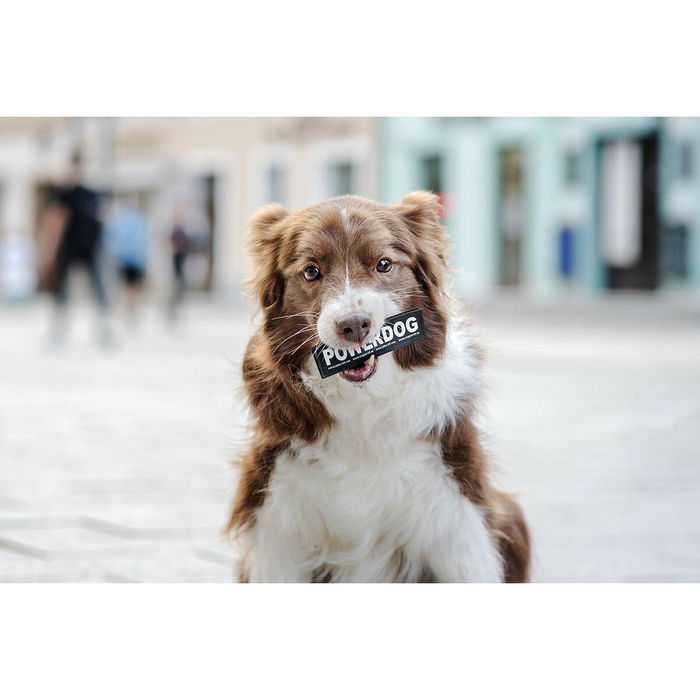 Etiquetas para arnés Julius K9 DON'T TOUCH S Blanco Negro (2 Unidades)