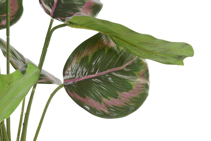 DKD Home Decor Planta Verde Rosa 30 x 58 x 30 cm (6 Unidades)