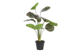 DKD Home Decor Planta Verde Rosa 30 x 58 x 30 cm (6 Unidades)