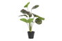 DKD Home Decor Planta Verde Rosa 30 x 58 x 30 cm (6 Unidades)