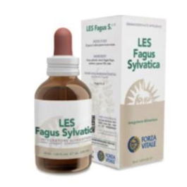 Forza Vitale Les Fagus Sylvatica Haya Extracto 50ml para Bienestar Renal