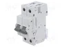 ETI POLAM Interruptor magnetotérmico ETIMAT P10 2P C6 6A 10kA