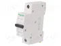 SCHNEIDER ELECTRIC ACTI9 K60N 25A 1 Polo 6kA