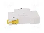 SCHNEIDER ELECTRIC ACTI9 K60N 25A 1 Polo 6kA