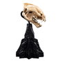 El Señor de los Anillos Estatua Skull of a Warg 20 cm