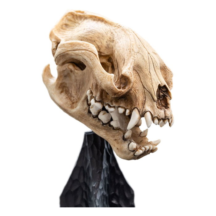 El Señor de los Anillos Estatua Skull of a Warg 20 cm