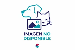 Calibra Dog Life Adult Medium Pollo 100 gr Formato Prueba