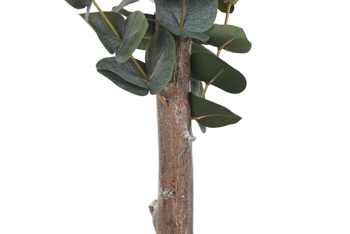 DKD Home Decor Árbol de Eucalipto Verde 50x50x155 cm
