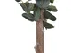 DKD Home Decor Árbol de Eucalipto Verde 50x50x155 cm