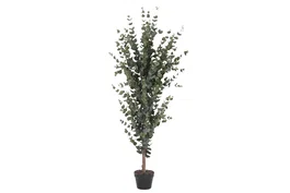 DKD Home Decor Árbol de Eucalipto Verde 50x50x155 cm