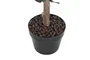 DKD Home Decor Árbol de Eucalipto Verde 50x50x155 cm