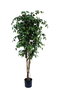 DKD Home Decor Árbol de Higuera de Bengala Verde (90x90x190 cm)