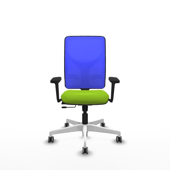 PIQUERAS Y CRESPO Silla de oficina Motilla con mecanismo Sincro/Traslack, Pistacho y Azul