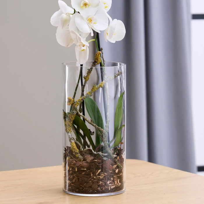 Day - Jarrón Cilindro de Vidrio Soplado a Boca, Transparente, Diámetro 15 cm, Altura 30 cm