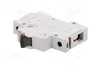 ETI POLAM ETIMAT P10 1P B32 Interruptor Magnetotérmico 32A 10kA
