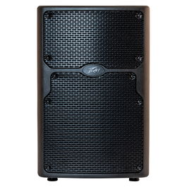 PEAVEY PVX P 10 Altavoz Profesional Biamplificado de 10" con Bluetooth y 520W Pico, Ideal como Monitor de Suelo