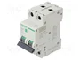SCHNEIDER ELECTRIC Easy9 Pro MCB 63A 2 polos 6kA