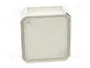 OBO BETTERMANN Caja de conexiones T 40 gris claro