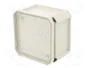 OBO BETTERMANN Caja de conexiones T 40 gris claro