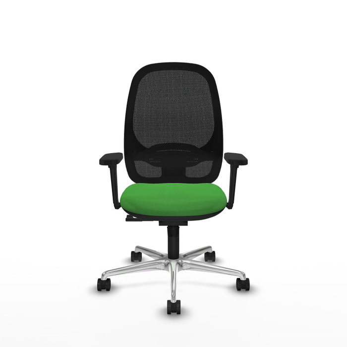 PIQUERAS Y CRESPO Silla de oficina Cilanco con mecanismo Sincro, Verde y Negro PIQUERAS Y CRESPO Silla de oficina Cilanco con mecanismo Sincro, Verde y Negro
