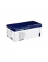 B. Braun Agujas Sterican 23G 0,6x80mm Azul 100 Unidades