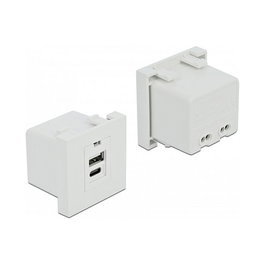 DeLOCK Módulo de carga Easy 45 1 x USB Tipo-A + 1 x USB Type-C™ 10,5 W Blanco