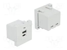 DeLOCK Módulo de puerto de carga Easy 45 1 x USB Tipo-A + 1 x USB Type-C™ 10,5 W