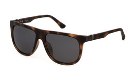 Police SPLN33E-59878P Gafas de sol para hombre con montura marrón y cristal gris