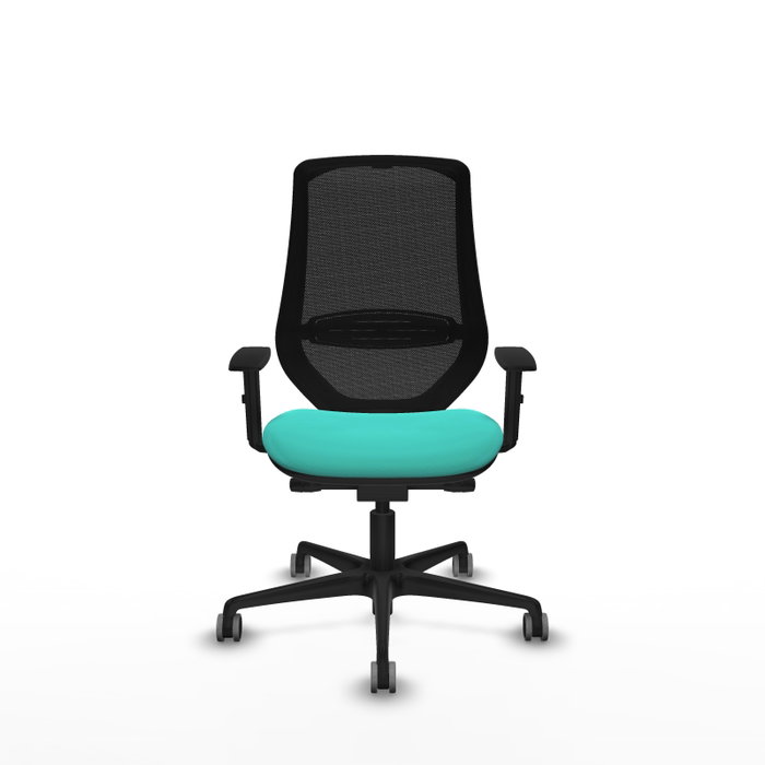 PIQUERAS Y CRESPO Silla de oficina Mardos con mecanismo Sincro/Traslack, Turquesa y Negro PIQUERAS Y CRESPO Silla de oficina Mardos con mecanismo Sincro/Traslack, Turquesa y Negro