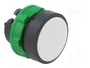 SCHNEIDER ELECTRIC Interruptor de presión Harmony XB5R Blanco